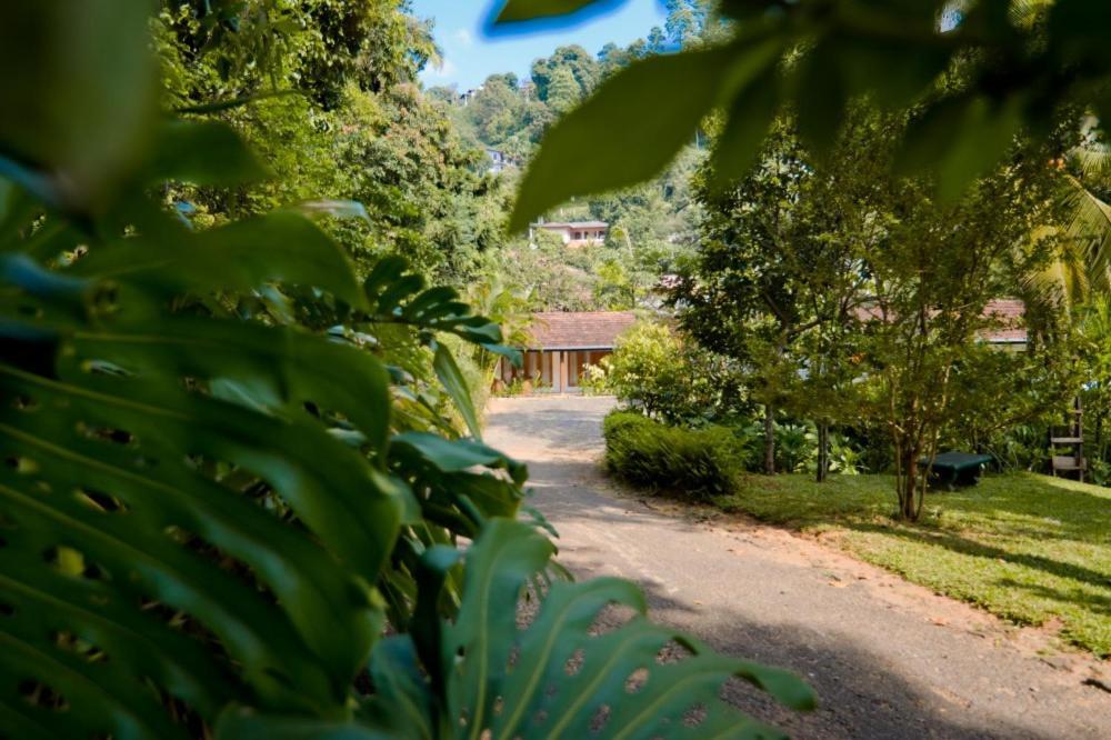Clove Garden Kandy Extérieur photo