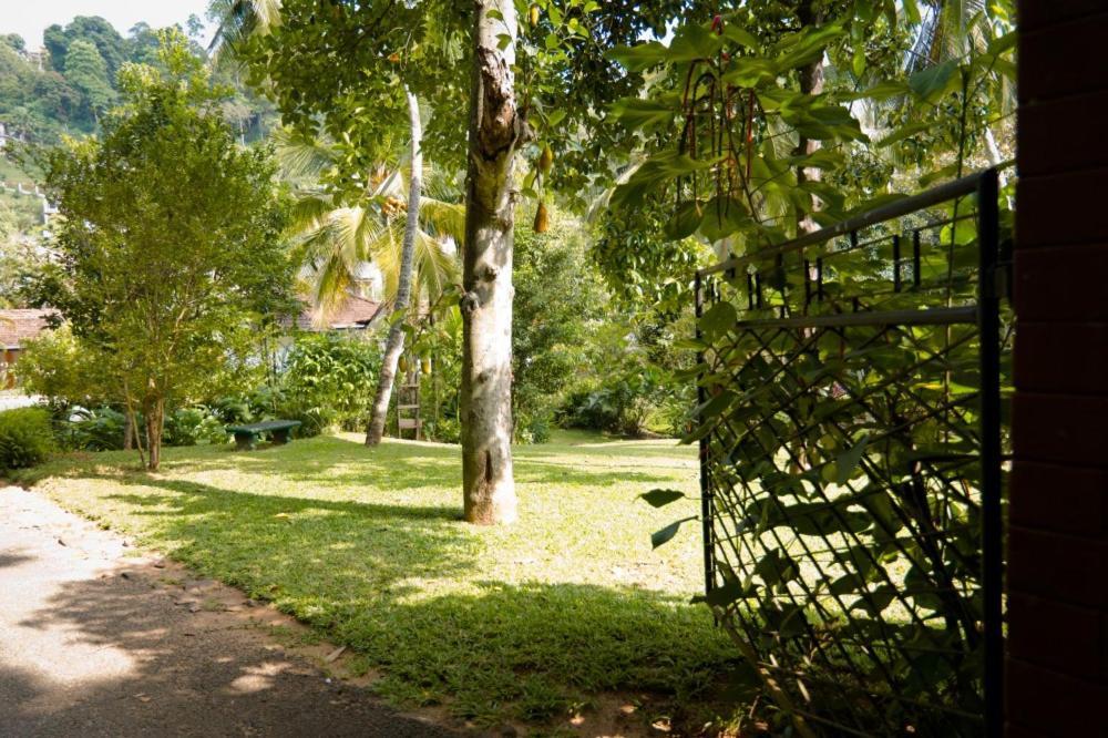 Clove Garden Kandy Extérieur photo